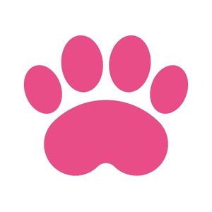 paw print icon